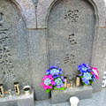 集合形式の墓所